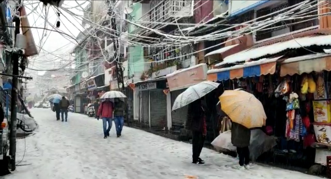 नैनीताल में हुई इस सीजन की सबसे ज़्यादा बर्फ़बारी, बिछ पूरे शहर में बर्फ की सफ़ेद चादर
