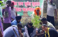 पंडित राम सुमेर शुक्ला मेमोरियल फाउंडेशन ट्रस्ट के वृक्षारोपण अभियान में पूर्व विधायक राजेश शुक्ला ने रोपे पौधे, क्षेत्र में 10,000 पौधे लगाने का लक्ष्य