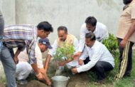 विश्व पर्यावरण दिवस पर भाजपा नेता संजीव कुमार सिंह ने किया पौधारोपण