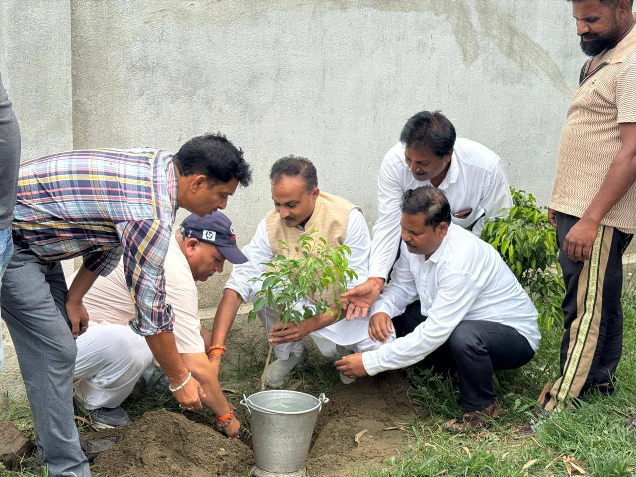 विश्व पर्यावरण दिवस पर भाजपा नेता संजीव कुमार सिंह ने किया पौधारोपण