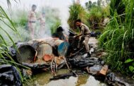 तराई में अवैध शराब माफियाओं पर बड़ा प्रहार: 3 अवैध भट्टियां ध्वस्त, 15 हजार किलो लहन नष्ट, 160 लीटर कच्ची शराब बरामद