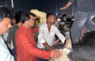 खून से लथपथ नंदी को देखकर रुक गए विधायक शिव अरोरा, तत्काल कराया रेस्क्यू; उपचार के लिए भिजवाया