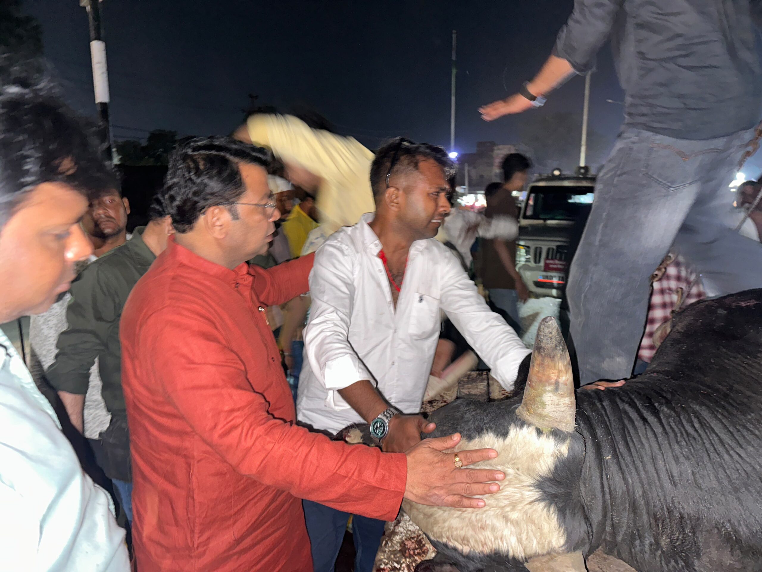 खून से लथपथ नंदी को देखकर रुक गए विधायक शिव अरोरा, तत्काल कराया रेस्क्यू; उपचार के लिए भिजवाया