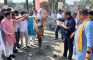 खड़गे की टिप्पणी के विरोध में भाजपा का प्रदर्शन, कांग्रेस का फूंका पुतला